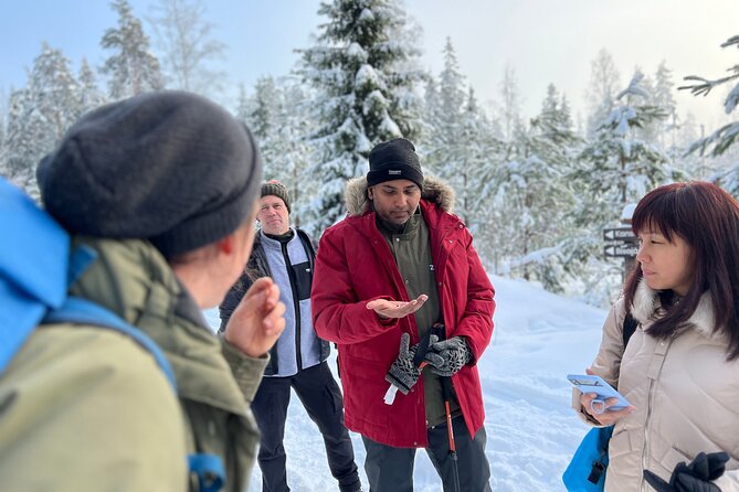 Winter Wonderland Hike in a National Park - Overview of the Activity