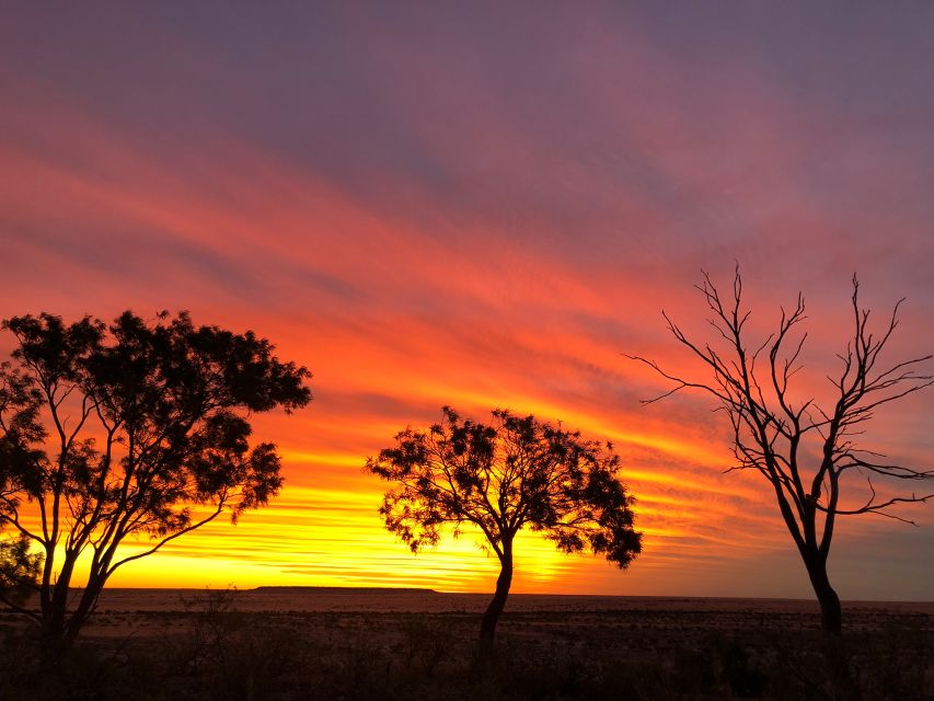 3 Best Tours In Winton Queensland