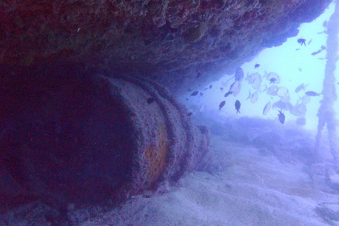Wreck Exploration Ricardo-18m (Certified Diver) - Meeting Point and Pickup