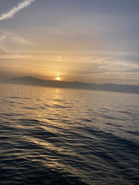 yacht-cruise-with-a-spacious-sundeck-dolphin-watching-activity-details