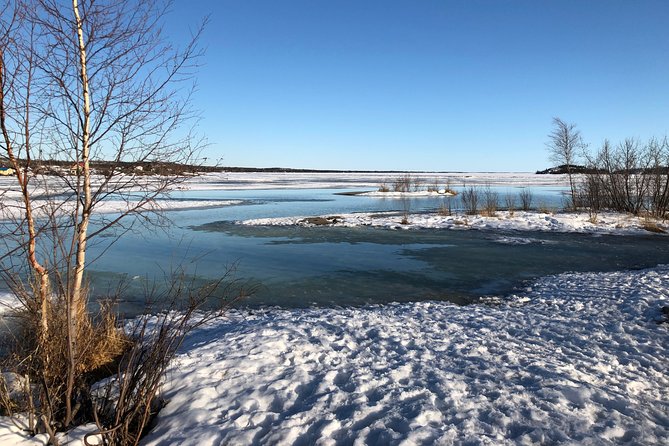 Yellowknife City Tour + Natures North Wildlife Gallery