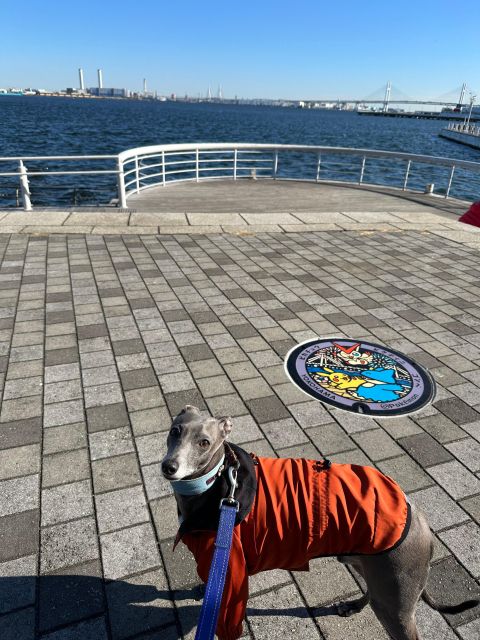 yokohama-family-tour-with-manhole-covers-vehicles-tour-duration-and-details