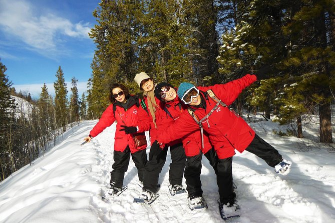 Yukon Snowshoeing Adventure | Half Day - Tour Overview