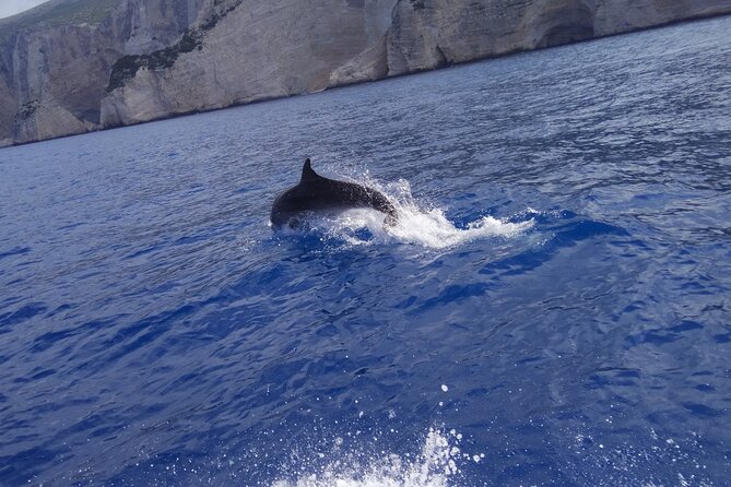 Zakynthos All Day Tour Shipwreck Beach, View Point-Blue Caves - Tour Overview