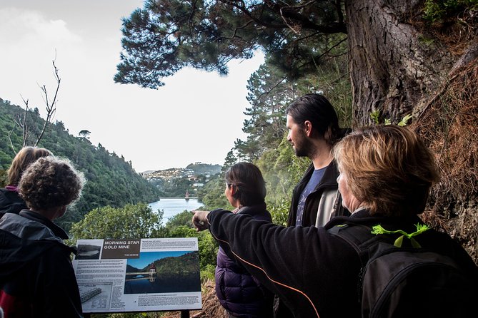 Zealandia - Twilight Guided Eco Wildlife Tour - Overview and Experience