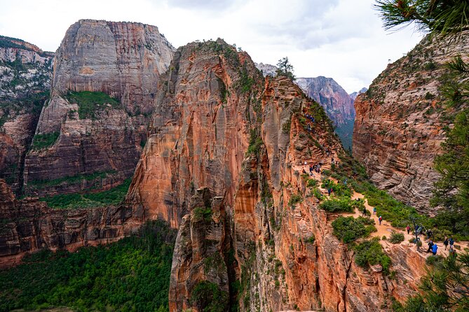Zion Full Day Small Group Tour With Narrows