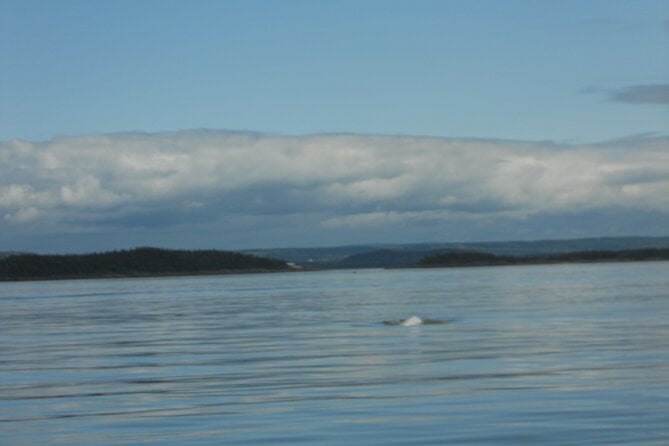 Zodiac Discovery Of The Kamouraska Islands