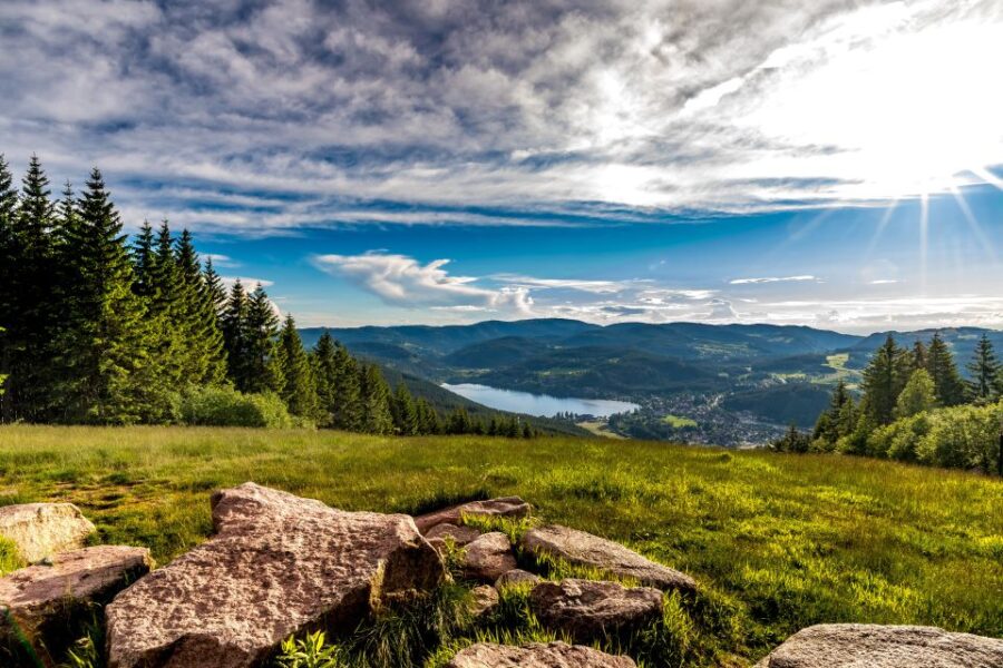 zurich-black-forest-titisee-and-rhine-falls-bus-day-trip-overview-of-the-day-trip