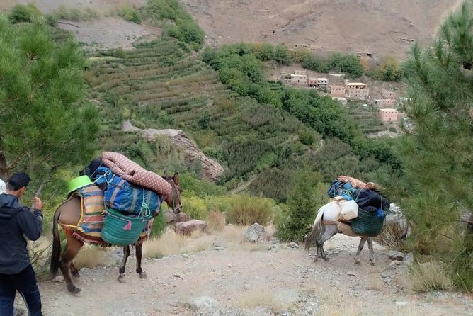 3 Day Trek in the Atlas Mountains and Berber Villages From Marrakech - Itinerary Breakdown
