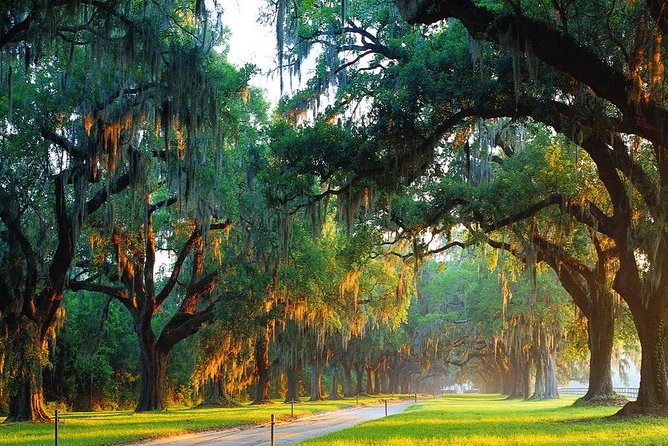 Boone Hall Plantation All-Access Admission Ticket - Experiences at the Estate