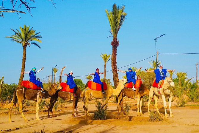 Camel Trek Around Marrakech Palmeraie - Confirmation and Accessibility
