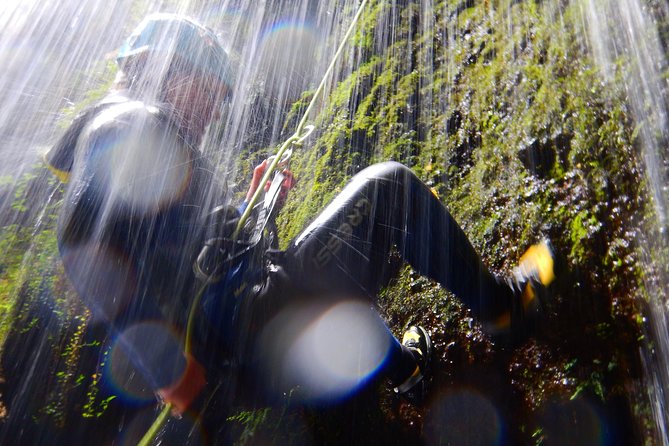 Canyoning Experience - Half Day - Highlights