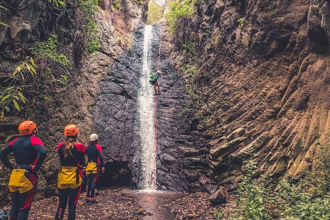 Canyoning With Waterfalls in the Rainforest - Small Groups ツ - Activity Details