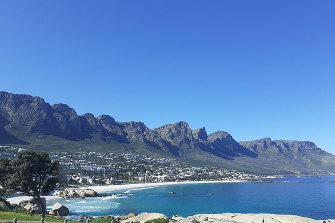 Cape Town Halfday City and Table Mountain Tour - Included Experiences