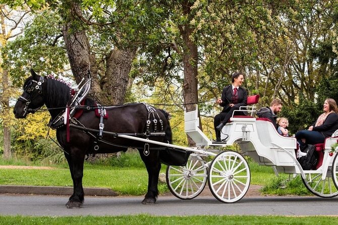 Central Park and NYC Horse Carriage Ride OFFICIAL ( ELITE Private) Since 1970™ - Meeting Point and Accessibility