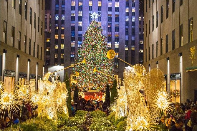 Christmas in New York: Private Holiday History Tour - Meeting and Pickup Location