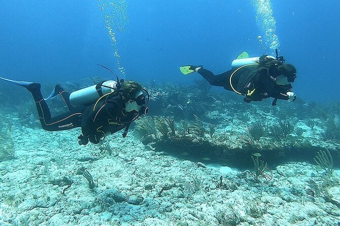 Discover Scuba - Purpose and Ideal for Divers
