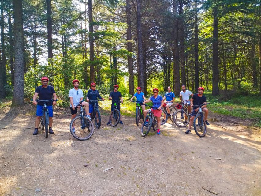 Electric VTT Day: Nature Sightseeing for All Levels - Highlights of the Experience