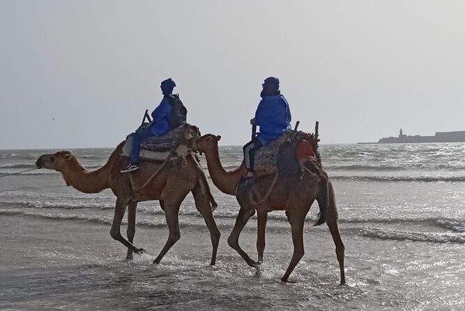 Essaouira Private Camel Ride (1 Hour). - Traditional Outfits Included