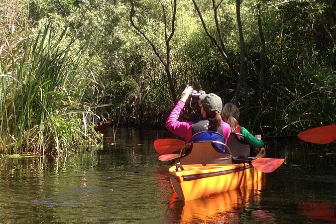 Everglades Kayak Safari Adventure Through Mangrove Tunnels - Abundant Ecosystem and Wildlife