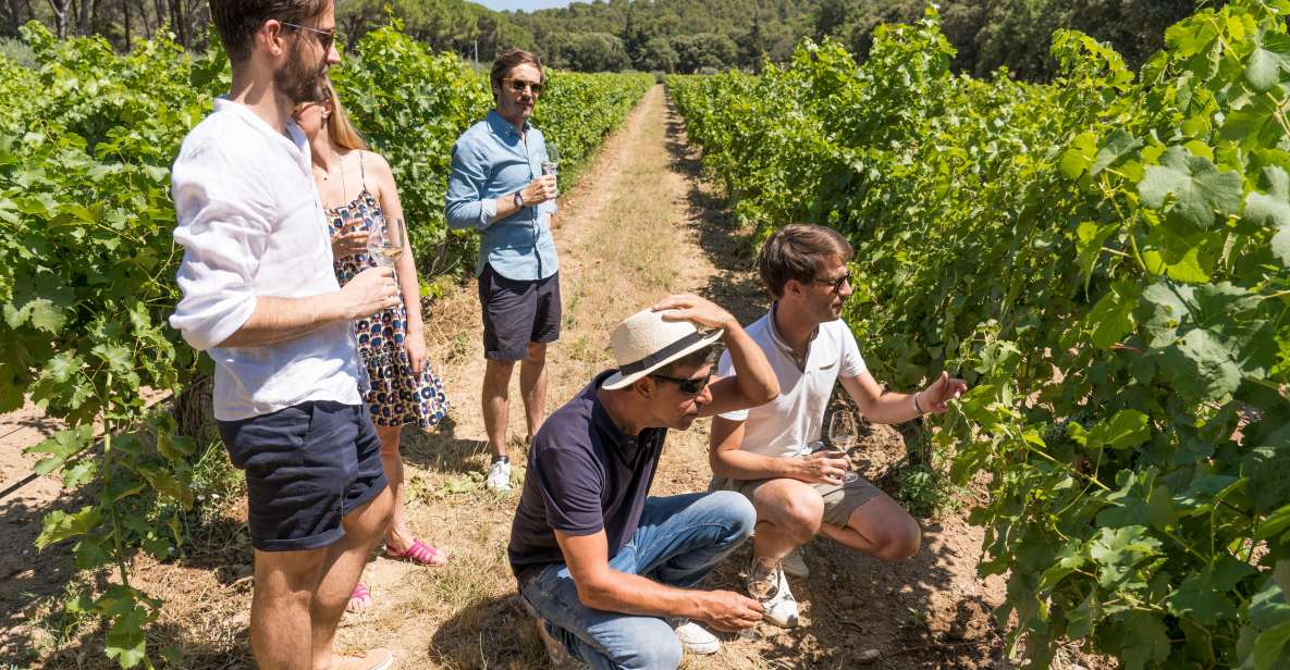 From Aix-en-Provence: Wine Tour in Cezanne Countryside - Highlights of the Wine Tour