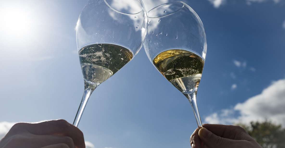 From Epernay: Bubble Morning Champagne Tour - 6 Tastings - Highlights of the Tour