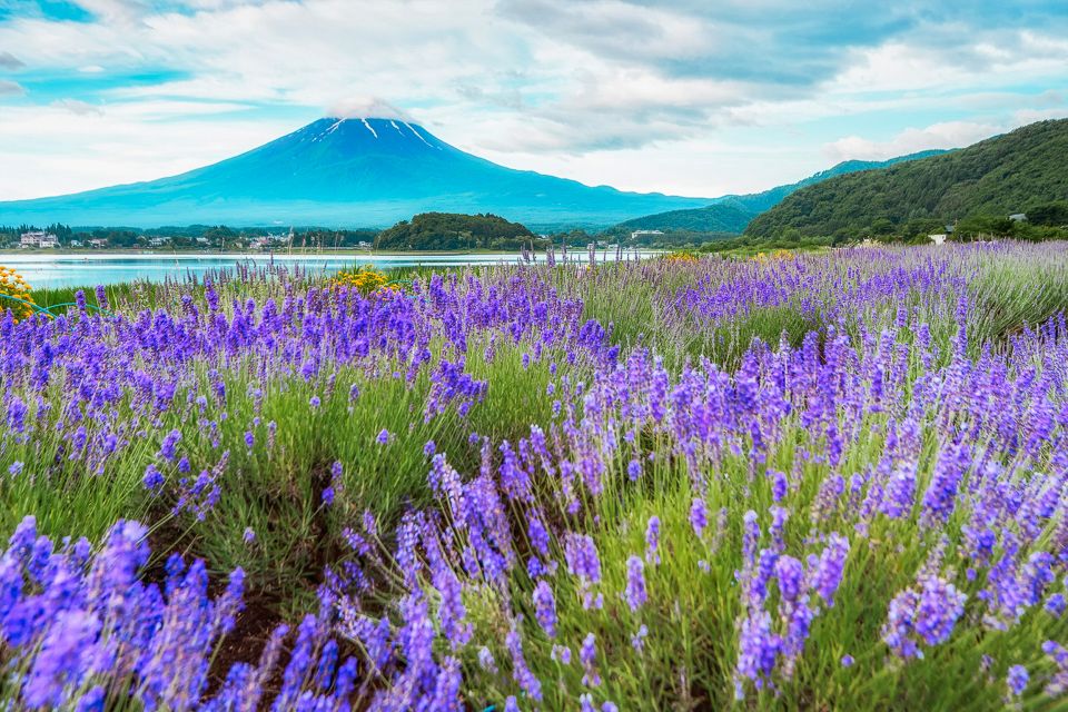 From Tokyo: Mt. Fuji Full-Day Sightseeing Trip - Starting Locations and Transfer