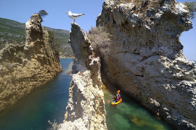 Full Day Kayak&Coasteering Adventure - Cliff Diving Thrill