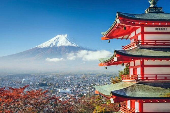 Full Day Private Tour With English Speaking Driver in Mount Fuji - Inclusions and Exclusions