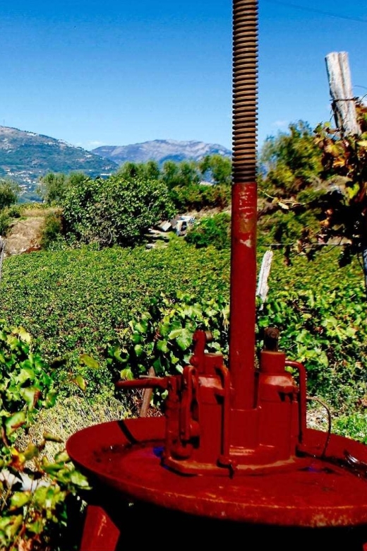 Full-Day Wine Tour in Bellet & Saint-Paul De Vence From Nice - Inclusions