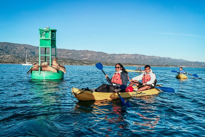 Guided Kayak Wildlife Tour in the Santa Barbara Harbor - Inclusions