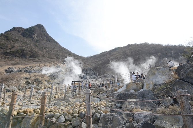 Hakone 8 Hour Private Tour With Government-Licensed Guide - Pickup Details