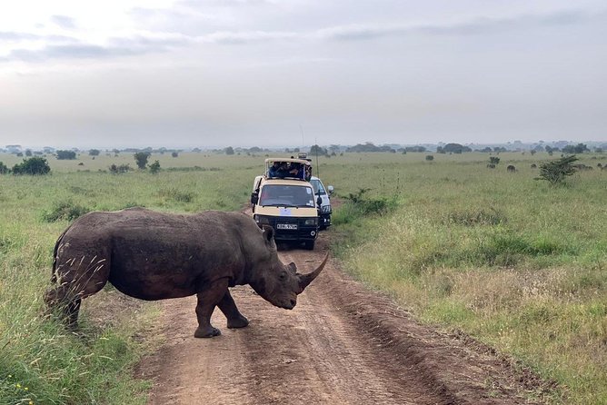 Half-Day Nairobi National Park Safari From Nairobi With Free Pickup - Additional Information