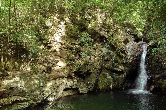 Jungle River Trek: Private Tour in Yanbaru, North Okinawa - Inclusions and Exclusions