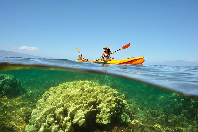 Kayak and Snorkel: Maui West Shore - Meeting Location and Time