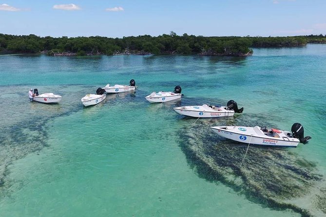 Key West Safari Eco Sandbar Tour Adventure With Snorkeling - Requirements