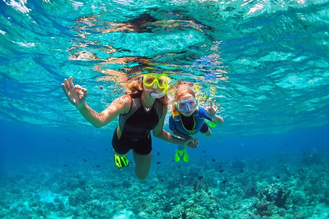 Key West Sunset Snorkel With Unlimited Draft Beer & Wine - Inclusions and Amenities