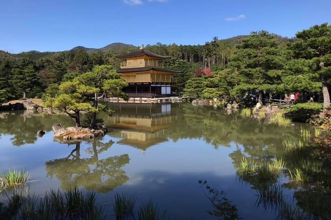 KYOTO-NARA Custom Tour With Private Car and Driver (Max 13 Pax) - Tour Accessibility and Policies