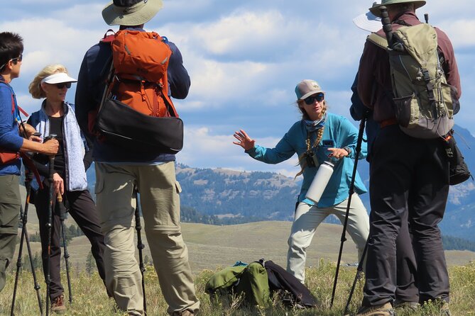 Lamar Valley Safari Hiking Tour With Lunch - Wildlife Watching Opportunities