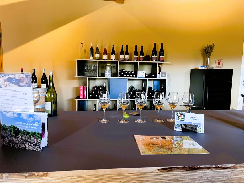 Montpellier: Half-Day Terrasses Du Larzac Wine and Grotto Tour - Highlights of the Tour