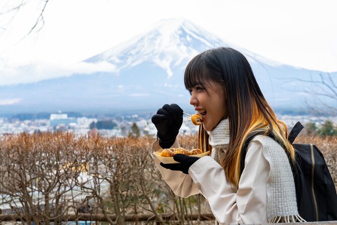 Mount Fuji Private Trip From Tokyo by Car/Van - in English - Whats Included