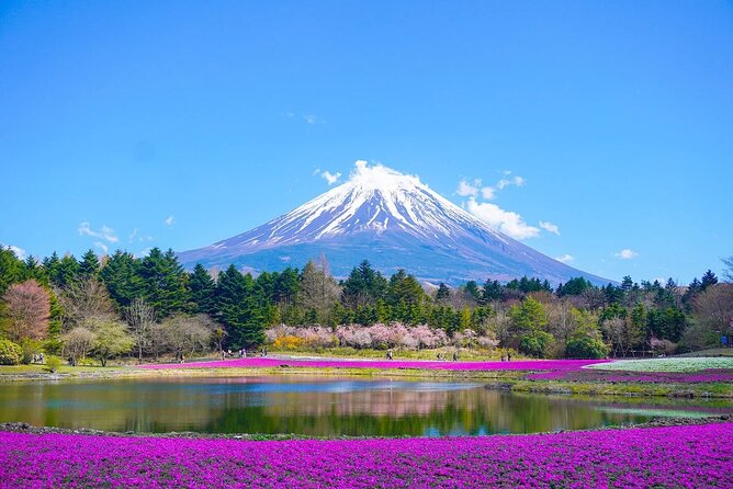 Mt Fuji :1-Day Private Tour With English-Speaking Driver - Exclusions From the Package