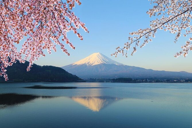 Mt Fuji Area Private Guided Tours in English-Nature up Close, Quiet, Personal - Discovering Hidden Gems