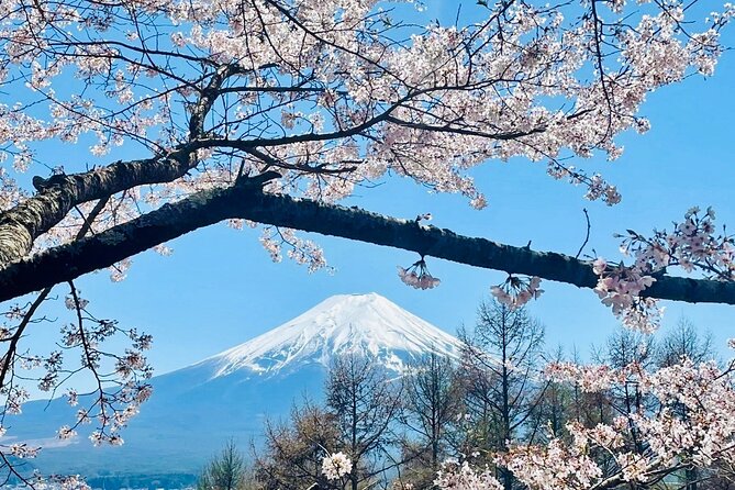 Mt. Fuji & Lake Kawaguchiko Private 1 Day Tour With Pick & Drop - Pickup and Drop-off