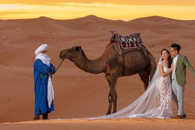 Overnight Stay in Desert Camp & Camel Trekking in the Sahara - Meeting and End Point