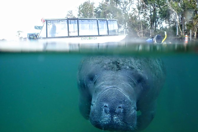 Private Manatee Tour for up to 10 - Tour Duration and Schedule
