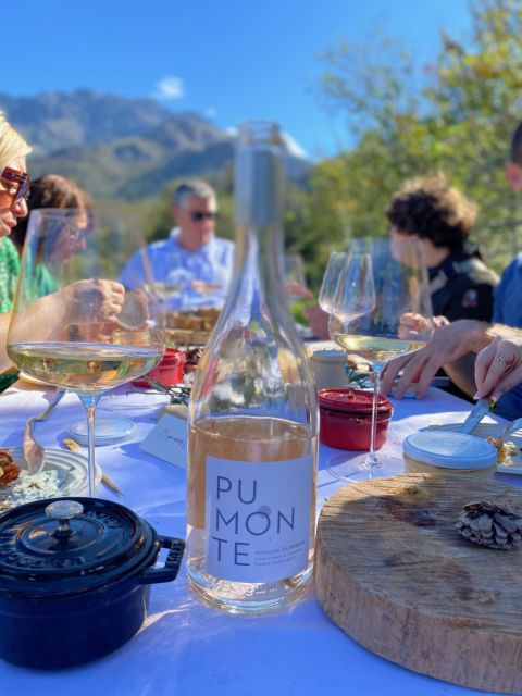 Private Wine Tastings Around Vineyards - Tasting Exceptional Corsican Wines