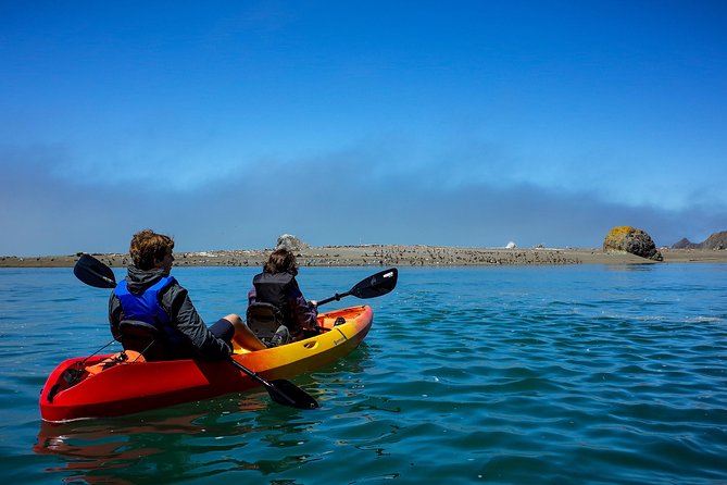 Russian River Kayak Tour at the Beautiful Sonoma Coast - Wildlife Spotting Opportunities