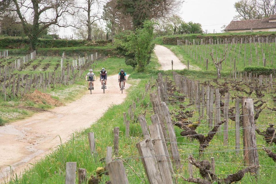 Saint-Émilion by Gravel Bike & Wine Tasting - Countryside Exploration