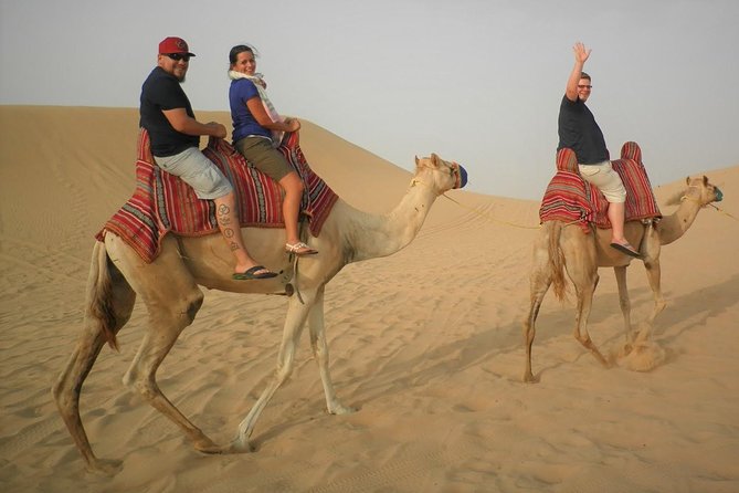 Sharing or Private Safari, Sand Boarding, Camel Ride, Inland Sea Quick Swim - Included Activities